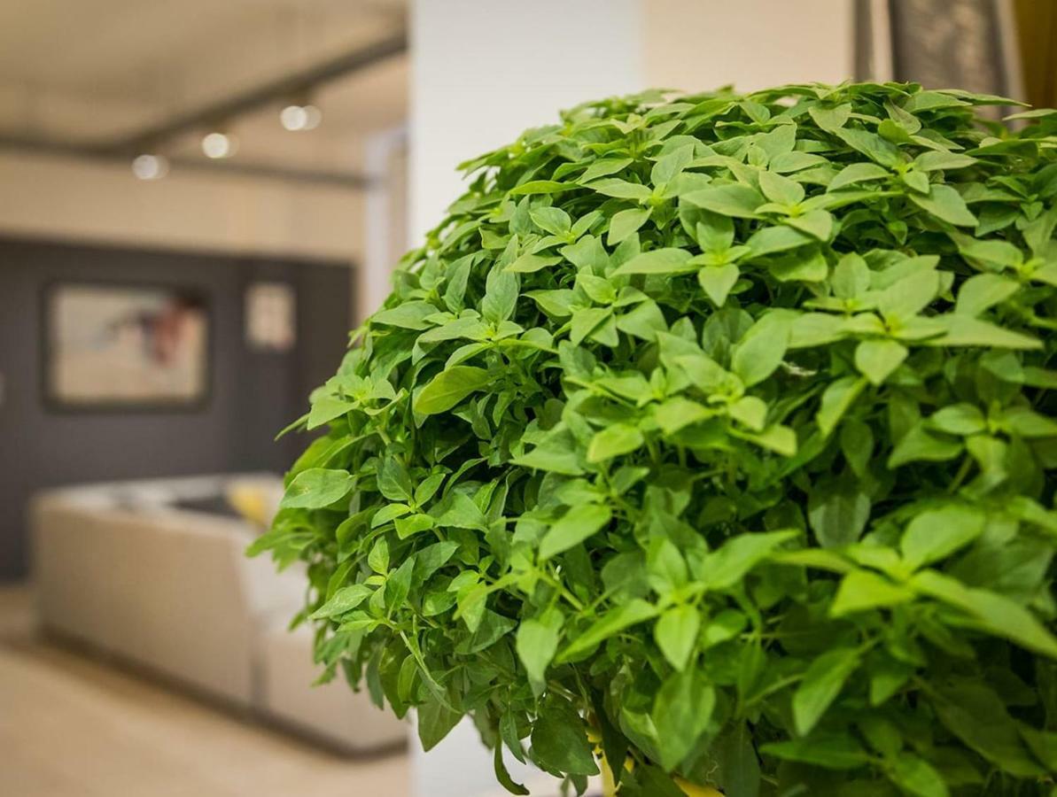Ferienwohnung Renovated Loft At The Center Of Monastiraki Athen Exterior foto